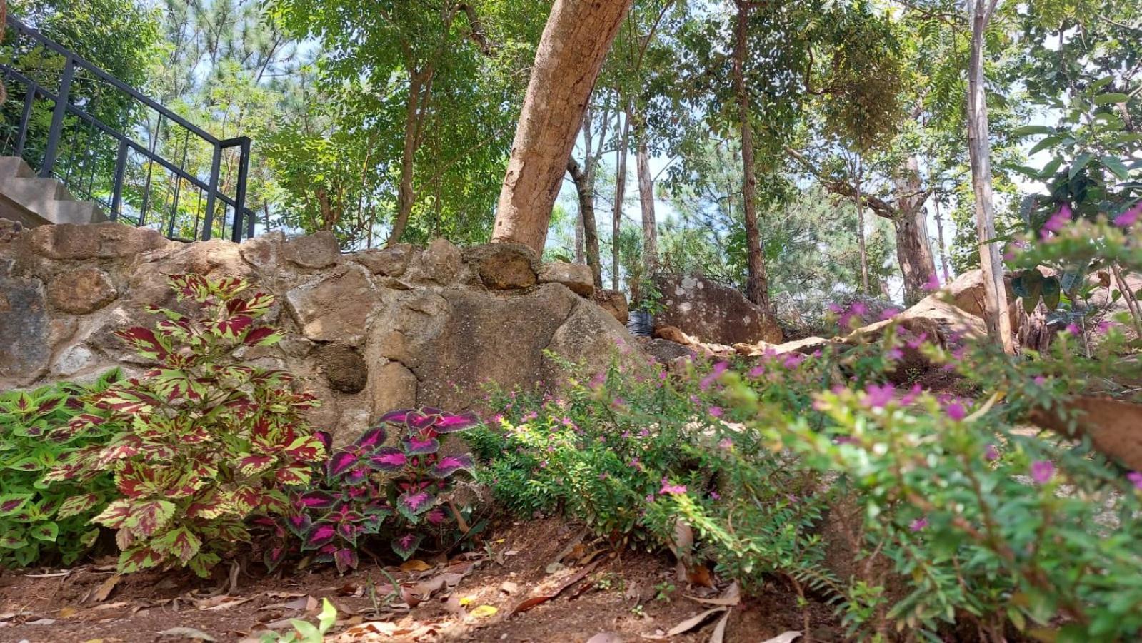 Rock N Fall Nature Resort Ella Exterior photo
